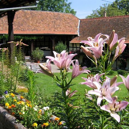 Le Gite Des Ecureuils Schalkendorf Exterior foto