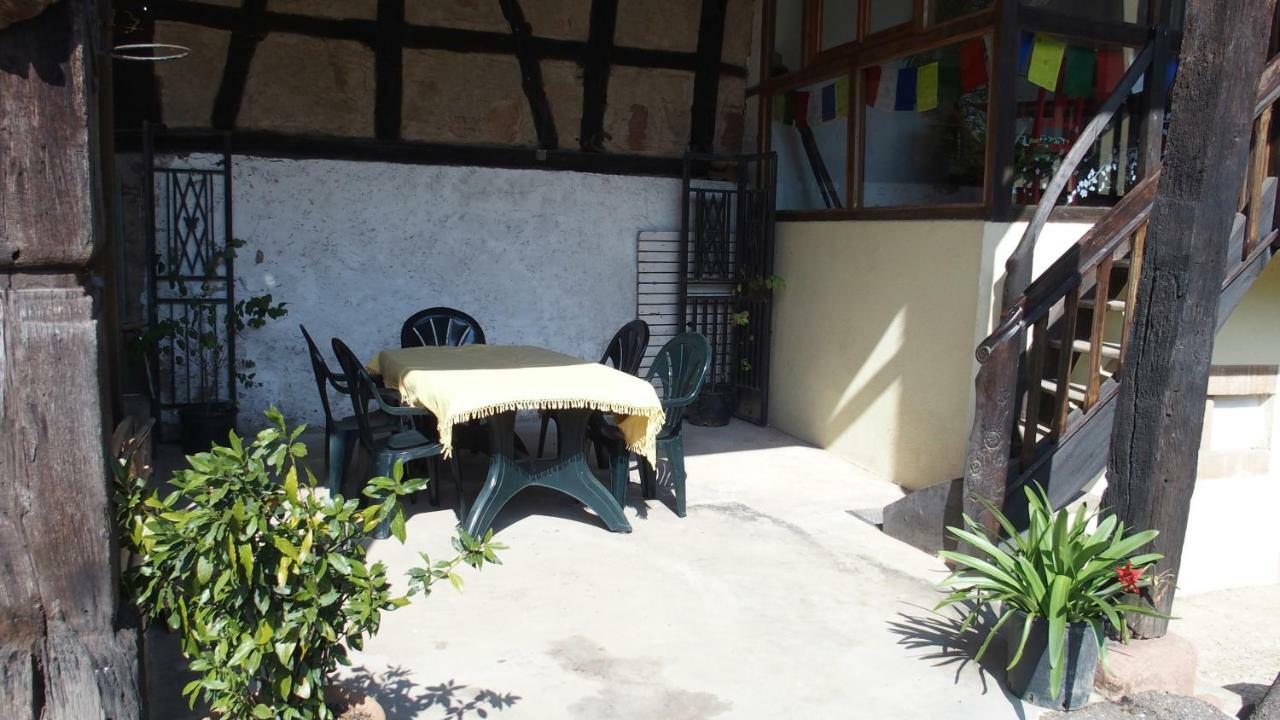 Le Gite Des Ecureuils Schalkendorf Exterior foto