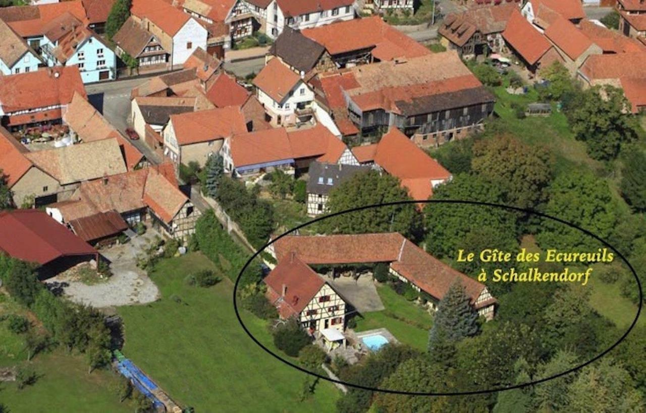Le Gite Des Ecureuils Schalkendorf Exterior foto